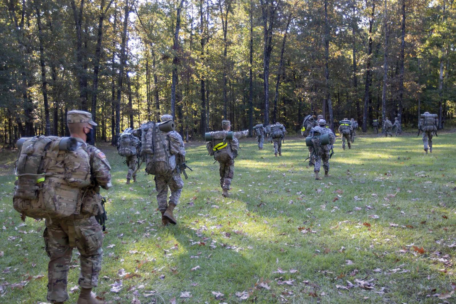 Soldiers participate in lab training in the woods